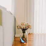 The Bluebirds Nest By Tonsdeverde Braga