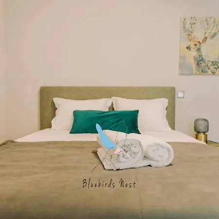 شقة The Bluebirds Nest By Tonsdeverde *