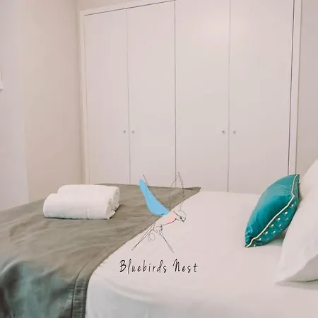 The Bluebirds Nest By Tonsdeverde *