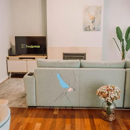 The Bluebirds Nest By Tonsdeverde Apartment