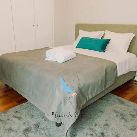 Apartment The Bluebirds Nest By Tonsdeverde Braga