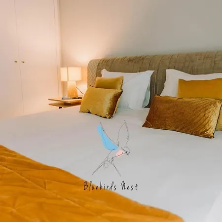 The Bluebirds Nest By Tonsdeverde Apartment *