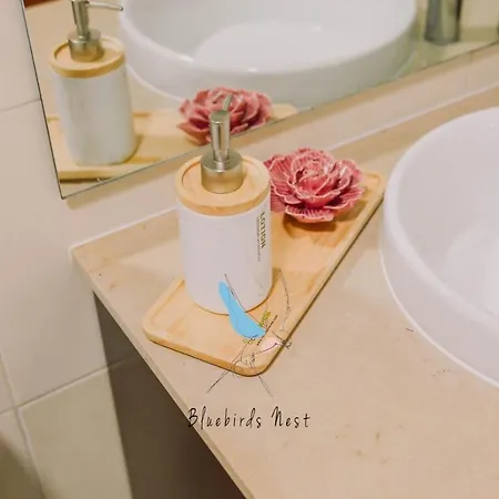 شقة The Bluebirds Nest By Tonsdeverde براغا