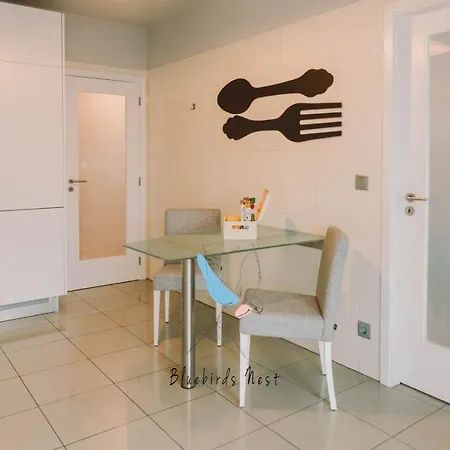 The Bluebirds Nest By Tonsdeverde Apartment