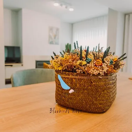 The Bluebirds Nest By Tonsdeverde شقة *