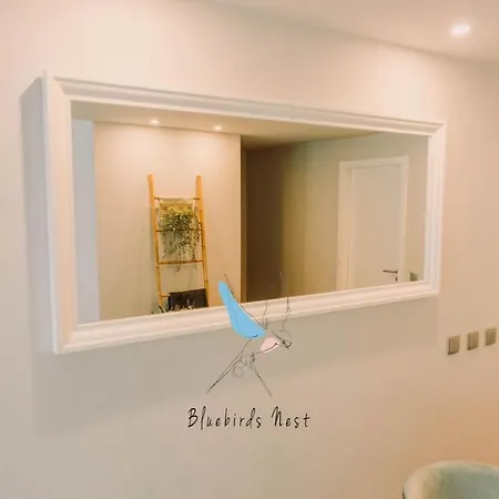 Apartment The Bluebirds Nest By Tonsdeverde Braga