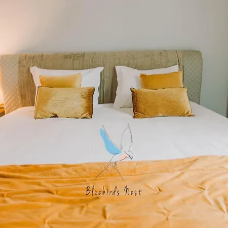 The Bluebirds Nest By Tonsdeverde شقة براغا