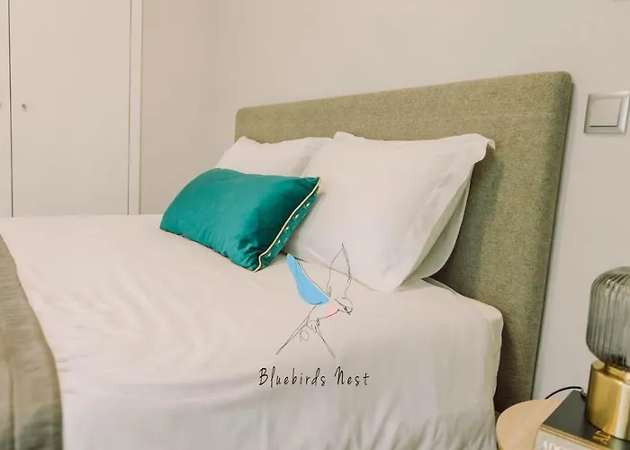 The Bluebirds Nest By Tonsdeverde Апартаменти Брага