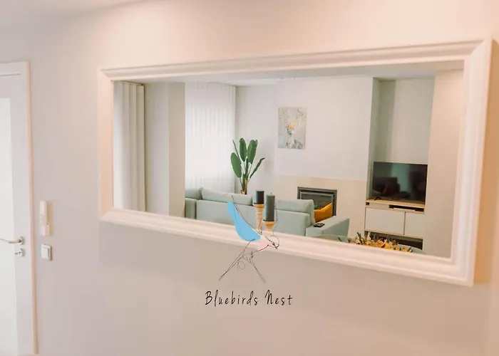 The Bluebirds Nest By Tonsdeverde