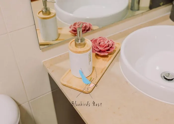 Апартаменти The Bluebirds Nest By Tonsdeverde Брага