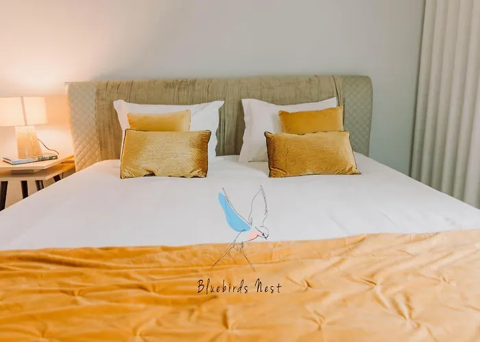 The Bluebirds Nest By Tonsdeverde Lägenhet Braga